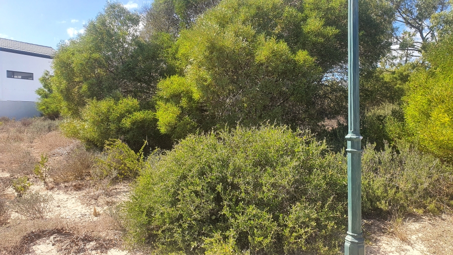 0 Bedroom Property for Sale in Shelley Point Western Cape